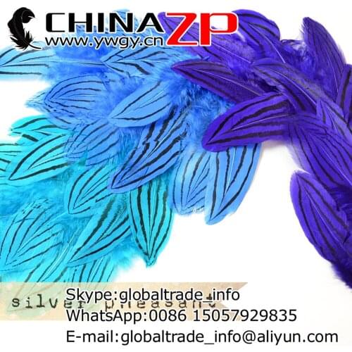 Leading Supplier CHINAZP Factory 2000pcs/lot 8~10cm Length Colorful Arine Mix Decoration Silver Pheasant Feathers