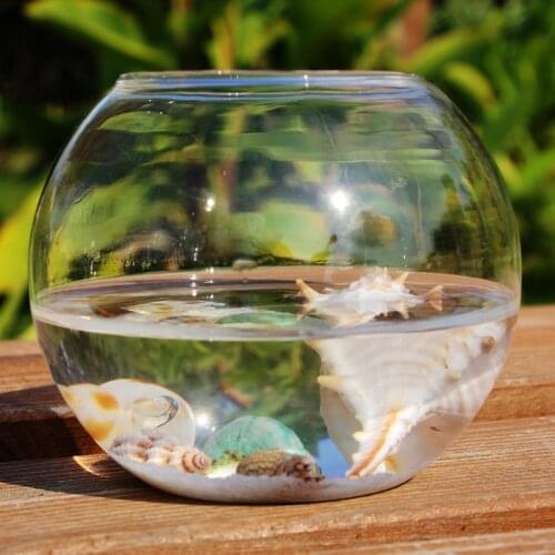Ball transparent fish tank hydroponics glass vase fleshier plant vase brief aquarium decoration crafts