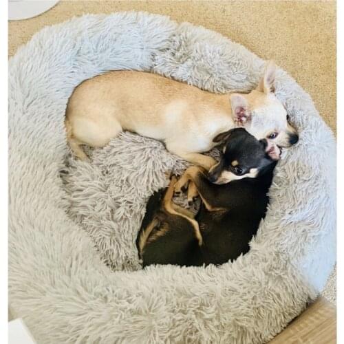 Dog Beds Hippypaw China