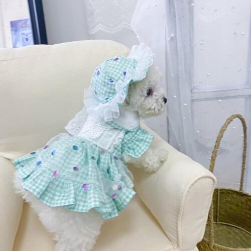 Summer Cat Dog Dress Hat Outdoor Pet Costume Apparel Travel Dog Clothes Skirt Chihuahua Yorkshire Pomeranian Puppy Clothing 2021