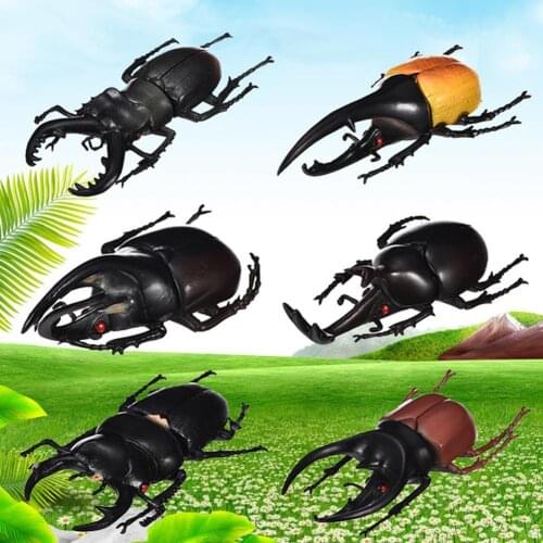 6Pcs Simulation Beetle Insect Model Kids Adult Toy Home Decoration Tabletop Ornaments Halloween Prank Trick Joke Toys Props