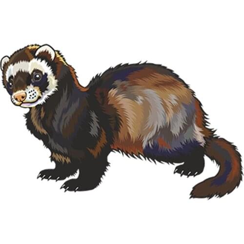 13cm X 7cm Hot Sell Creative Cartoon Ferret Car Sticker Accessories Car Styling Cover Scratches Waterproof PVC