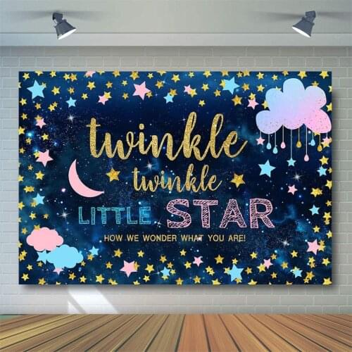 Twinkle Star Gender Secret Party Background Pink Blue Cloud Moon Twinkle Star Boy or Girl Baby Show Party Decoration