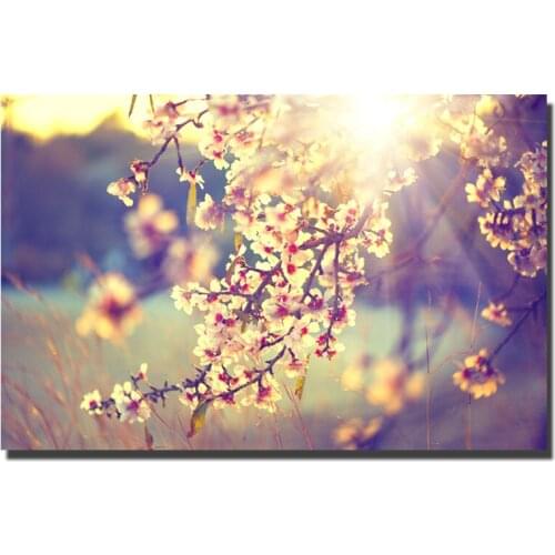 Sakura Flowers Art Painting Japan Style HD Art Prints Beautiful Sping Scenery Landscape Canvas Painting For Living Room Decor