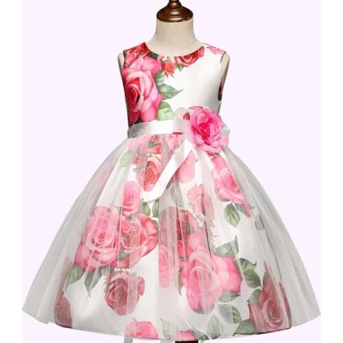 Baby Girls Dress Pattern Print Dress Mesh Puff Princess Dress Age Show Children Dress Baby Girls Clothes