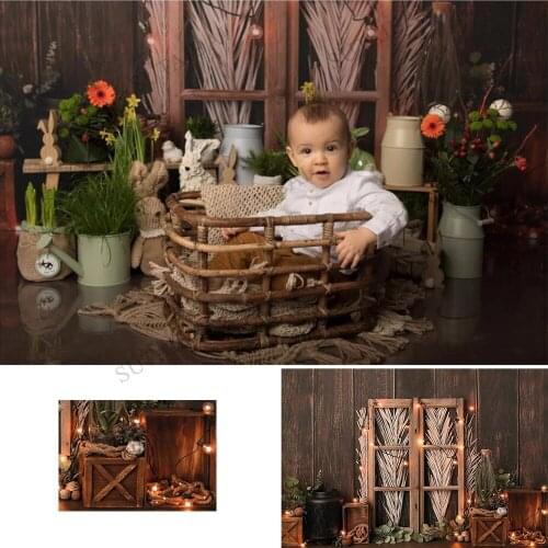Newborn Photography Baby Cake Smash Backdrop Decoration Rustic Wood Wall Vintage Door Light Background Kids Portrait Studio