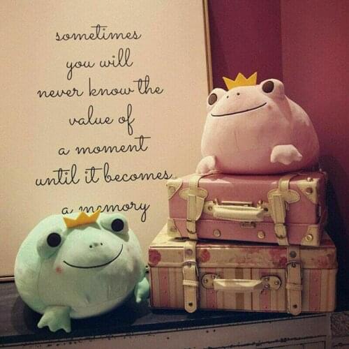 Kawaii Frog Plush Stuffed Animals Toys Frog Cushion For Hugs Super Soft Hugging Pillow Cute Plushie Frog Cushions Gift