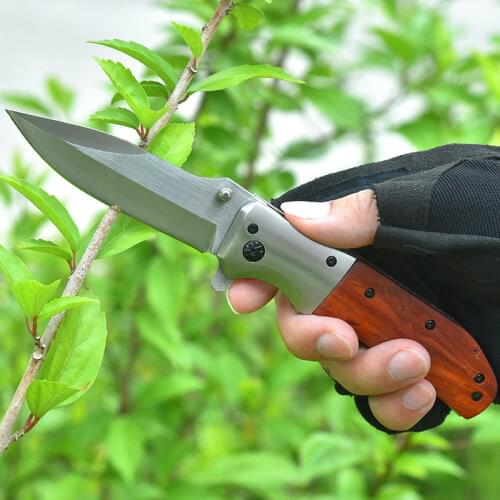 Blade Tactical Folding Knifes Survival Rescue EDC Outdoor Camping Hunt Tool Knives Hunting Survival Military Folding Karambit