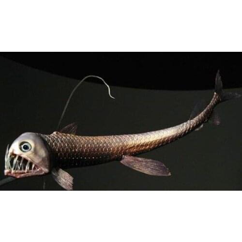 Made in Japan 100% Original Shimano TWINPOWER XD C3000HG C3000XG 4000XG C5000XG 9+1BB Saltwater Spinning Fishing Reel