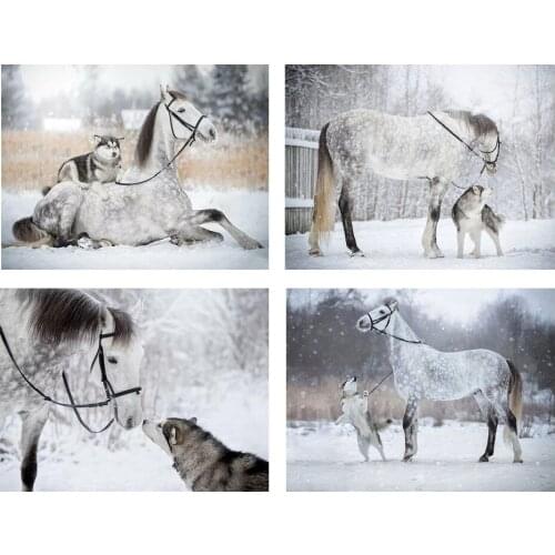 5D DIY Diamond Painting Animal Diamond Embroidery White Horse Picture Rhinestone Cross Stitch Kit Mosaic Home Decoration Gift