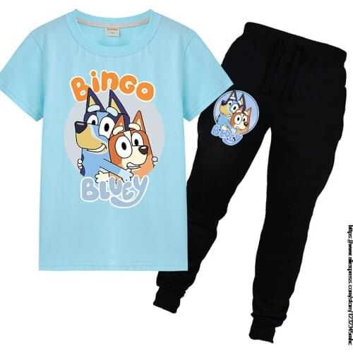 Kids Cartoon bingo bluey Print T-shirts Costume Boys Girls Summer T-shirt Clothing Children Tee Tops Clothes pants 2pcs