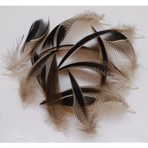 Wholesale 50 / 100 pcs 8-15 cm Duck Chicken Feathers for jewelry crafts dress wedding decorations Rare Pheasant Tail plumas
