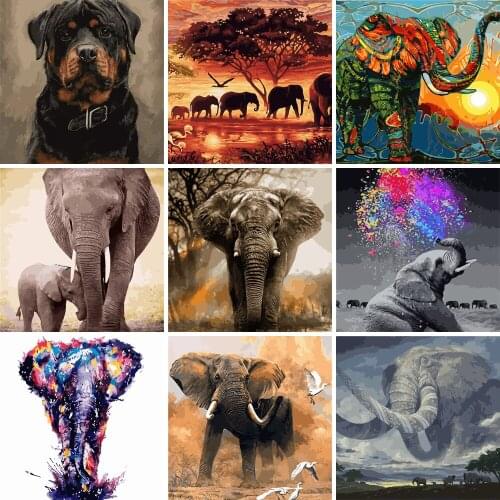 Paint girl Paintings By Numbers On Canvas