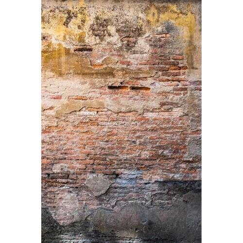 Photo Background Broken Cement Brick Wall Vinyl Cloth Backdrop for Children Baby Toy Pets Portrait Photobooth Photography Props