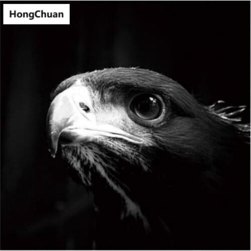 Animal Eagle Mural 5D DIY Square/Round Diamond Painting Mosaic Cross Embroidery Handicraft Home Decoration Christmas Gift