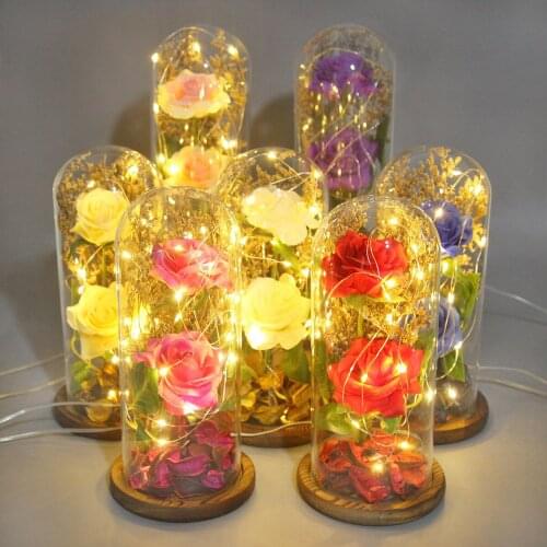 Everlasting flower glass cover 2 roses glass cover luminous led Valentines Day Mothers Day gift