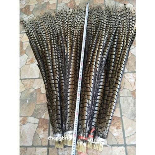 Wholesale 50pcs high quality natural Lady Amherst Pheasant Feathers 10-120cm/4-48inch Wedding Accessories Stage performance diy
