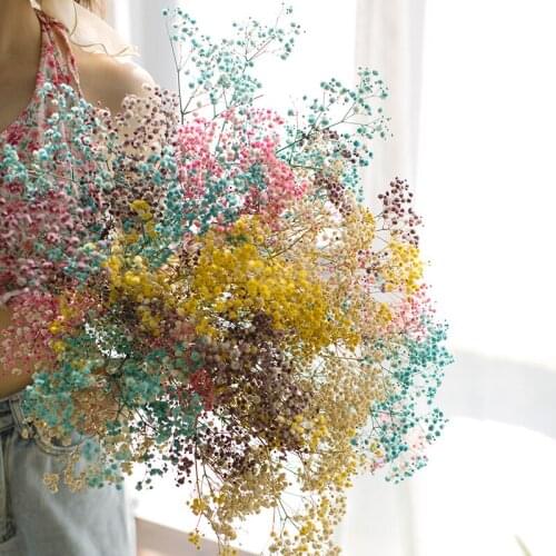 INS Nordic Pink White Babys Breath Star Color Dried Flower Bouquet Air-Drying Home Flower Arrangement with Floral DIY Flower