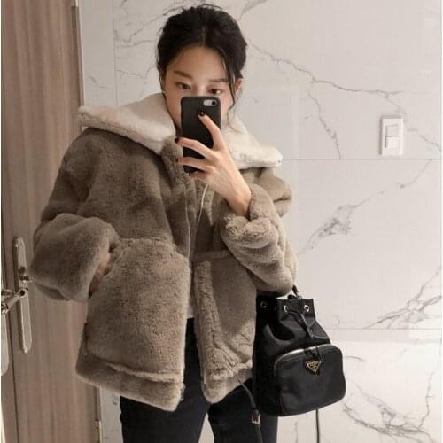2020 New Winter Coat Women Coat Faux Fur Jacket Female Winter Jackets Warm Thick Plush Coat Fur Jacket Winter Women Clothing