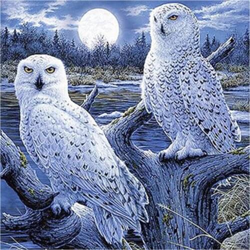 DIY Full round Drill 5D Diamond Painting moon two owls handmade Embroidery arts Cross Stitch Mosaic Home Decor Diamond Embroide