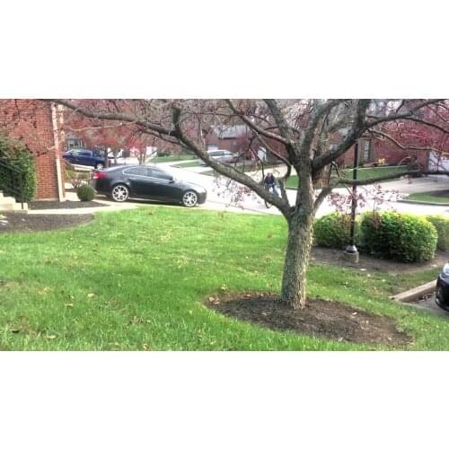 20kw high efficient BLDC motor for electric cycle and boat