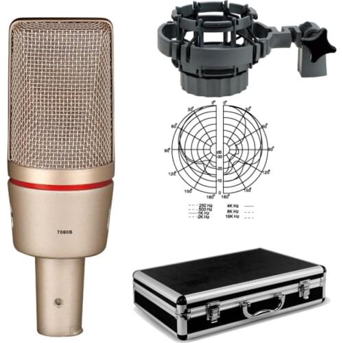 High Quality C7000 Large Diaphragm Super Cardioid Condenser Microphone For Stage Studio Live Recording Shock Mount Flight Case
