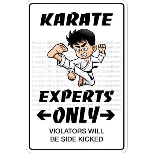 StickerPirate Karate Experts Only 8" x 12" Metal Novelty Sign Aluminum NS 375