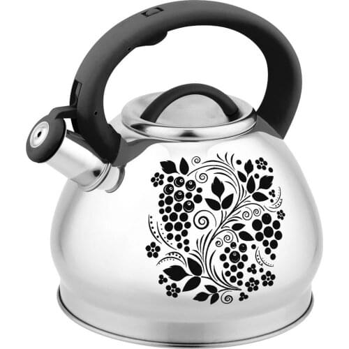 3L Stainless Steel Whistle Tea Kettle Water Bottle High-quality Whistling Pot Kettles Whistling Kettle For Gas Stove Bouilloire