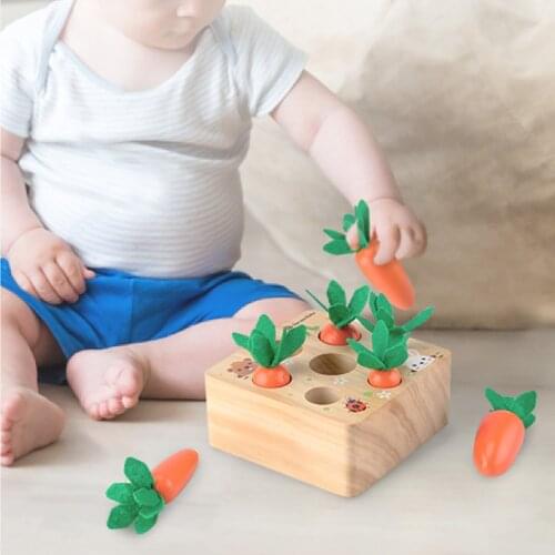 Wooden Toys Montessori Shape Size Sorting Puzzle Carrots Harvest Developmental Gifts for Toddlers Kids Education Learning Shape