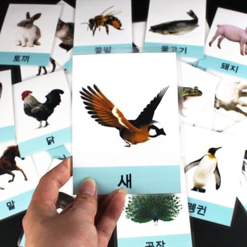 Korea Montessori Educativos Korean Animals Tiger/Giraffe Learning Cards For Children Kids FlashCards Game Baby Educational Toys