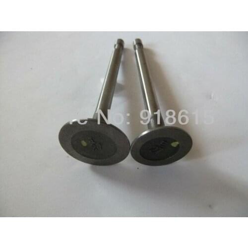 Robin EY20 RGX2400 intake valve and exhaust valve gasoline engine parts replacement