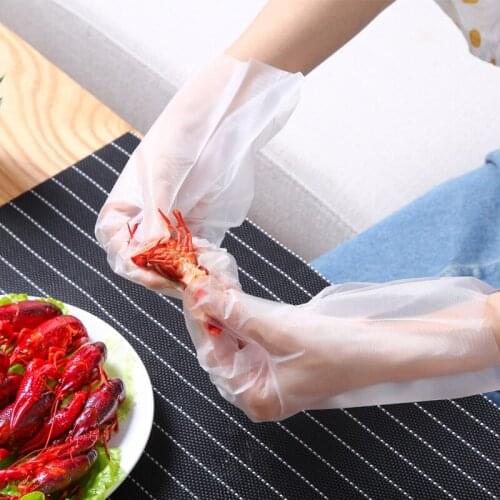 Disposable Gloves 100 Pcs PE Removable Food Plastic Catering Beauty Salon Transparent Thickened Gloves