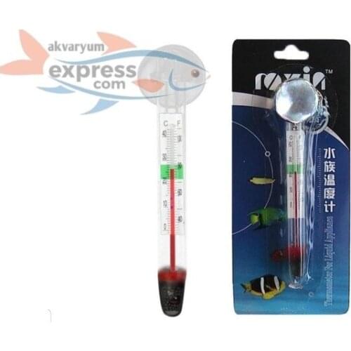 GLASS EXTREMELY PLUMP ROXİN 442317252