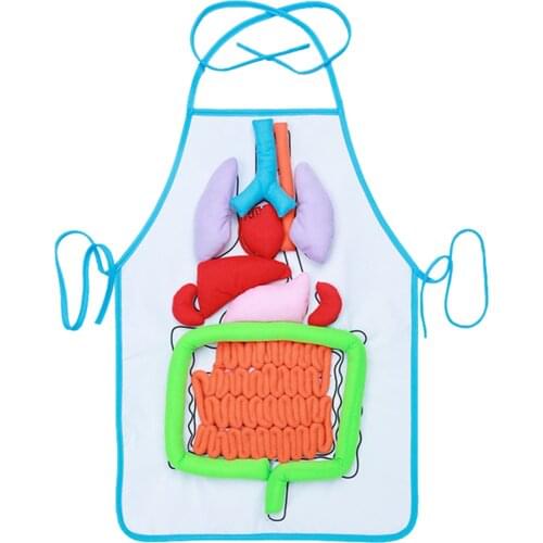 Creative Hot Educational Toys For Children Anatomy Apron Human Body Organs Awareness Preschool Science Home School Teaching Aids