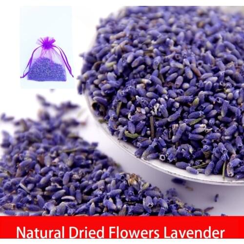 New 100g Real Natural lasting Lavend Dried Flowers Aromatherapy Bulk Lavender Bud Filling Relaxing Sleeping Natural Lasting