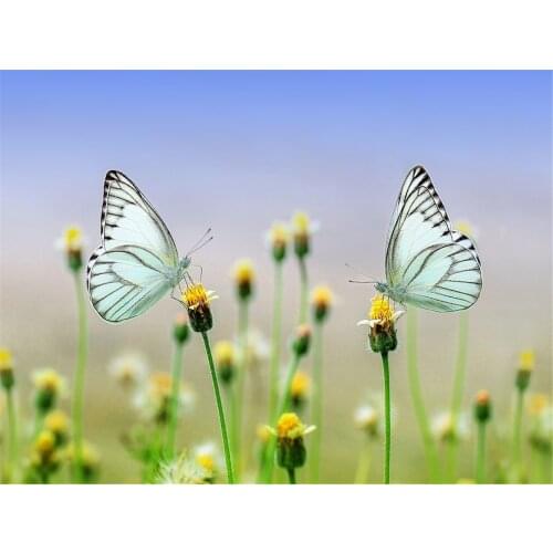 DIY Diamond Painting Cross Stitch Craft Kit Square Resin Rhinestones Full Drill Wall Decor for Living Room Decoration Butterfly