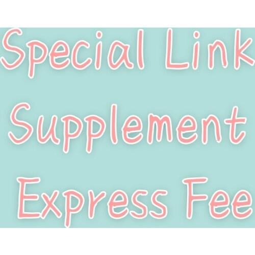 Special Link Supplement Express Fee