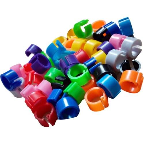 100Pcs 8mm Chicks Rings Clip Poultry Chicken Feet Rings Band For Bird Pigeon Parrot 7/8mm Animal Identification Tool