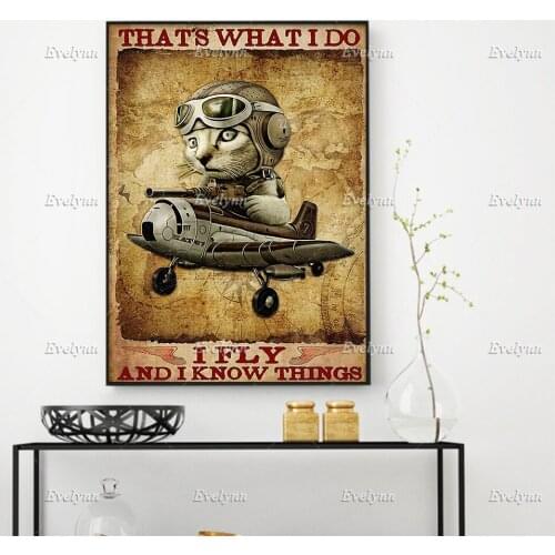 Cat Aircraft Fighter Pilot US Air Force Aircraft Veteran Poster Thats What I Do I Fly Prints Home Decor Canvas Floating Frame