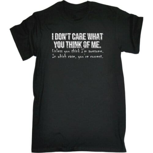 I Dont Care What You Think Of Me Youre Correct T-SHIRT Funny Gift Birthday