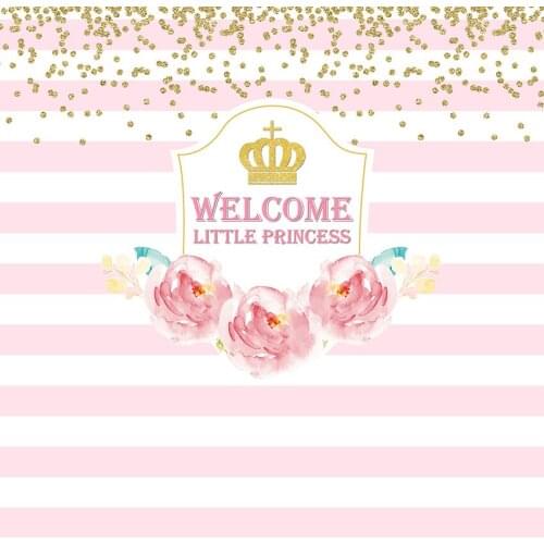 Welcome little princess photo backgrounds vinyl baby shower portrait pink photography backdrops for photo studio props LV-1305
