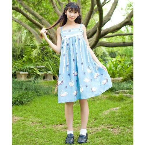 Japanese Design Womens Lolita JKS Swan Lake Pearl Suspender Dress Cute Princess Dress Baby Blue & Grey