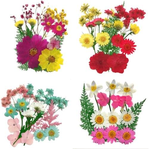1 Pack Dried Flowers UV Resin Natural Flower Stickers Dry Beauty Decal For DIY Epoxy Resin Filling Jewelry Decoration 2020 New