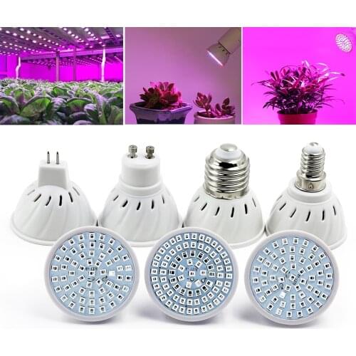 Moonlux LED Plant Lamps