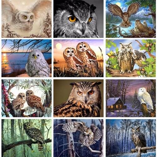 5D Diamond Painting Full Round Owl Cross Stitch Diamond Embroidery Animals Rhinestones Art Decoration For Home