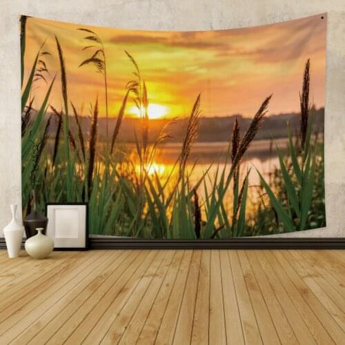 Reed and Sunset Tapestry Vintage Exotic Summer Plant Nature Frame for Bedroom Photography Wall Decor