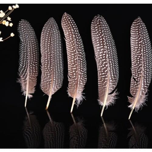 10Pcs Spotted Guinea fowl feathers 15-20 CM/6-8 inches Natural Pheasant Feather DIY Craft Home Party Decoration Plumes Accessory