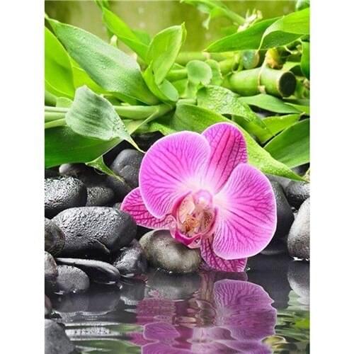 Diamond embroidery flowers orchid, full, diamond painting orchid,diamond embroidery flowers