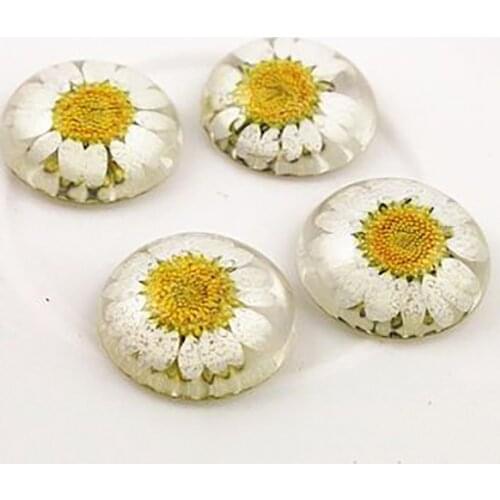 New Fashion 5pcs 25mm Natural Dried Flowers Flat Back Resin Cabochons Cameo G3-17