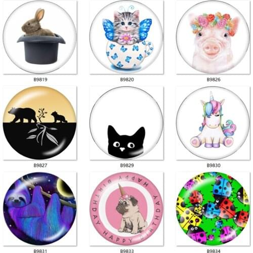 Animal cat bear pig ladybug rabbit 12mm/18mm/20mm/25mm Round photo glass cabochon demo flat back Making findings B9818